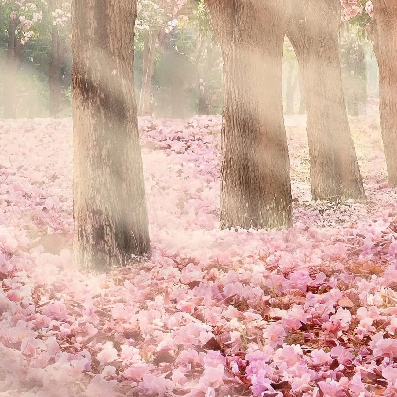 Фотообои рулонные Citydecor Сказочная природа 5 на флизелиновой основе 300x260 см