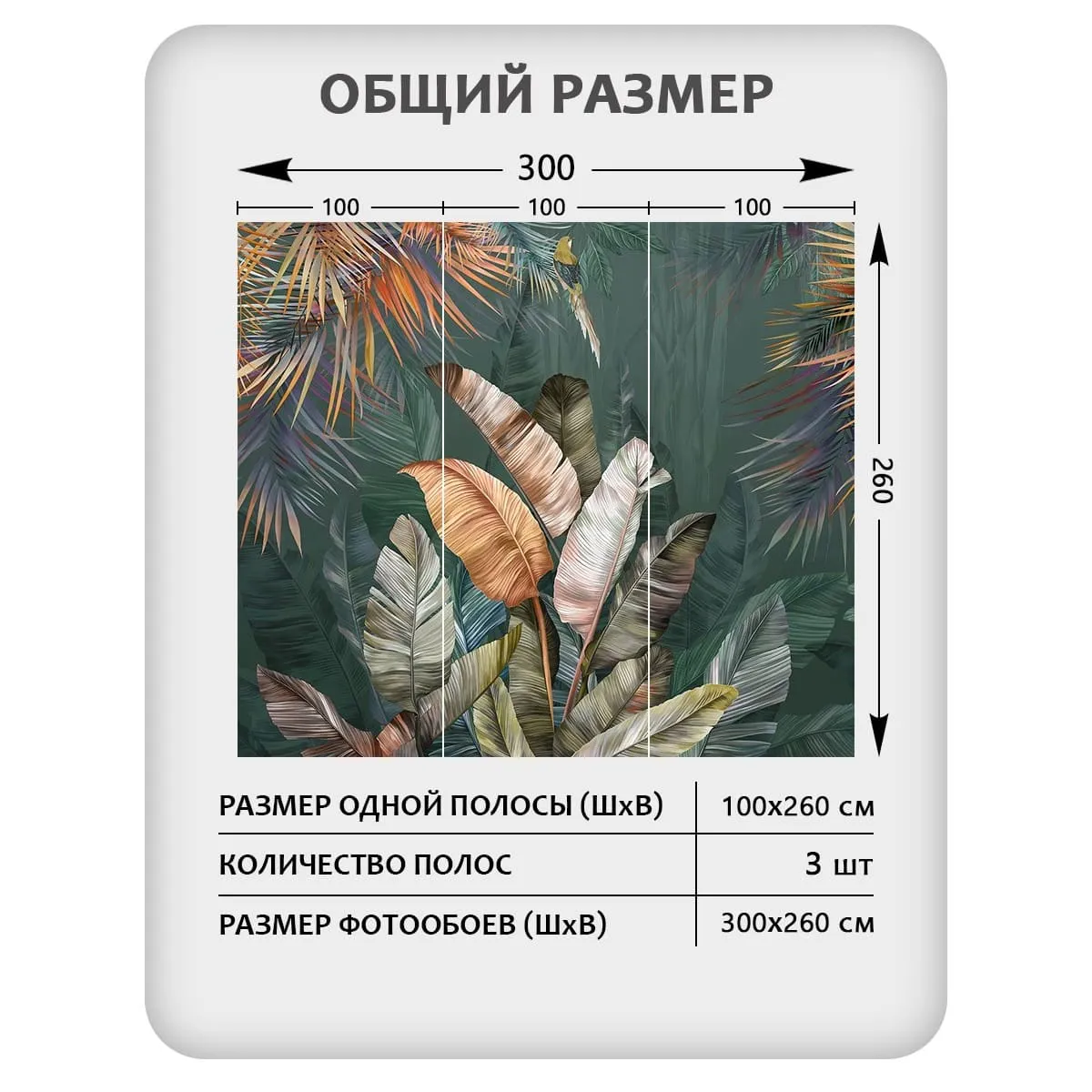Фотообои рулонные Citydecor Знойные тропики 21 на флизелиновой основе 300x260 см