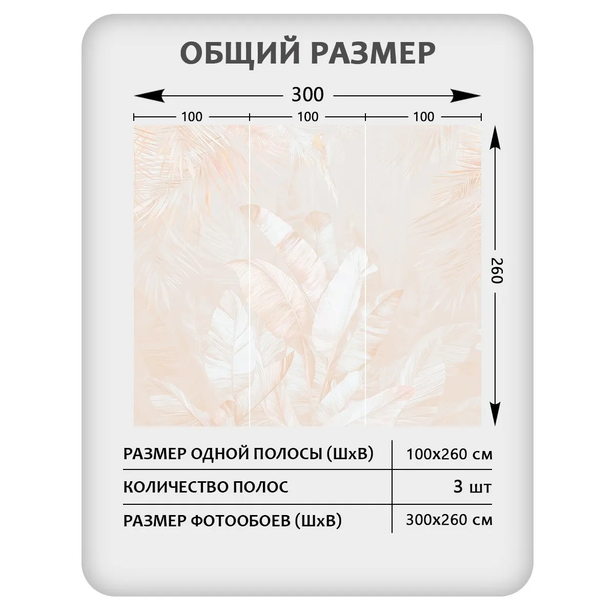 Фотообои рулонные Citydecor Знойные тропики 31 на флизелиновой основе 300x260 см