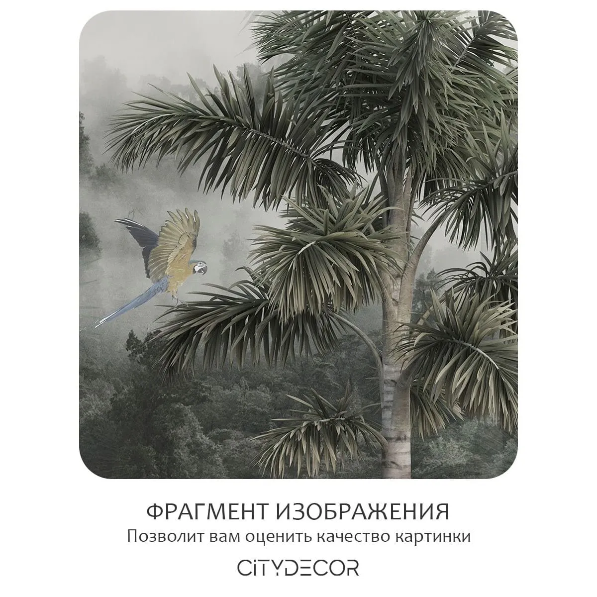 Фотообои рулонные Citydecor Знойные тропики 32 на флизелиновой основе 300x260 см