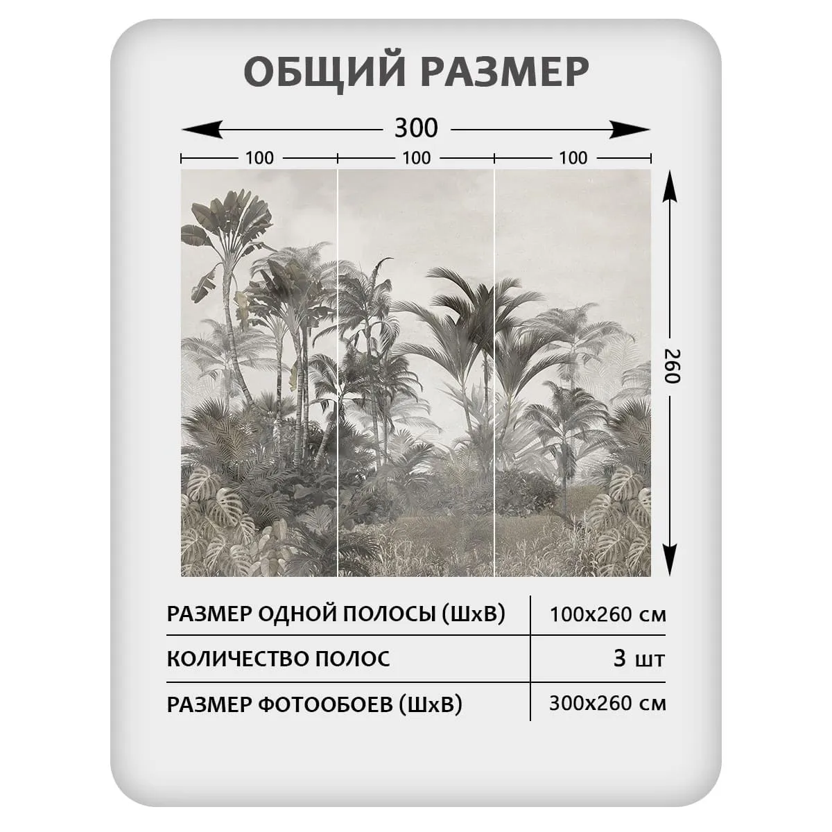 Фотообои рулонные Citydecor Знойные тропики 33 на флизелиновой основе 300x260 см
