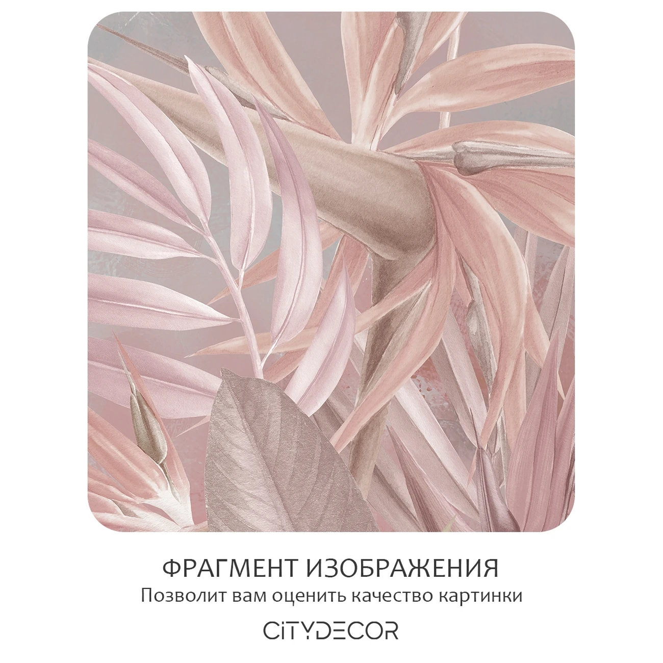 Фотообои рулонные Citydecor Знойные тропики 49 на флизелиновой основе 300x260 см