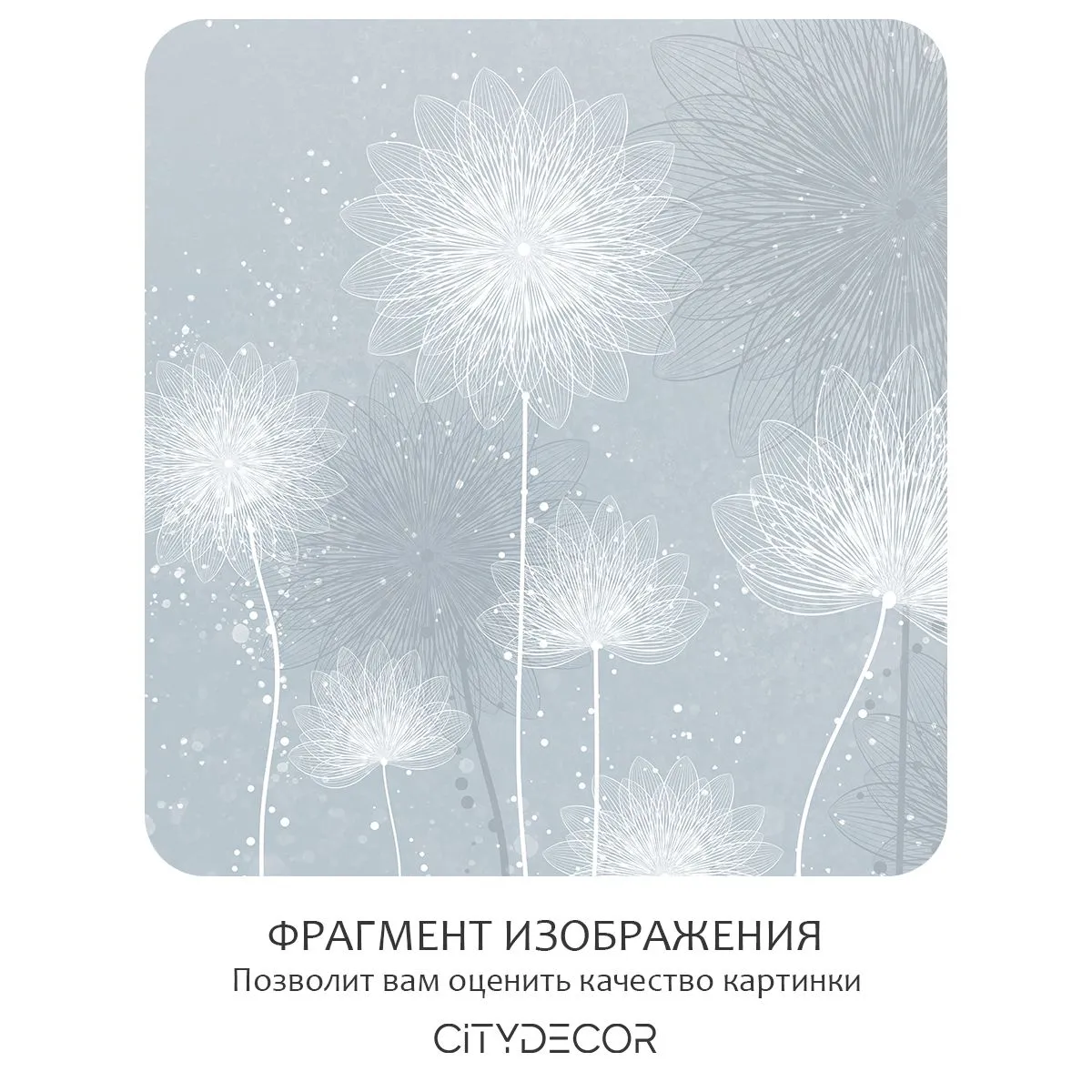 Бесшовное панно Citydecor Невесомость 42 на флизелиновой основе 300x270 см