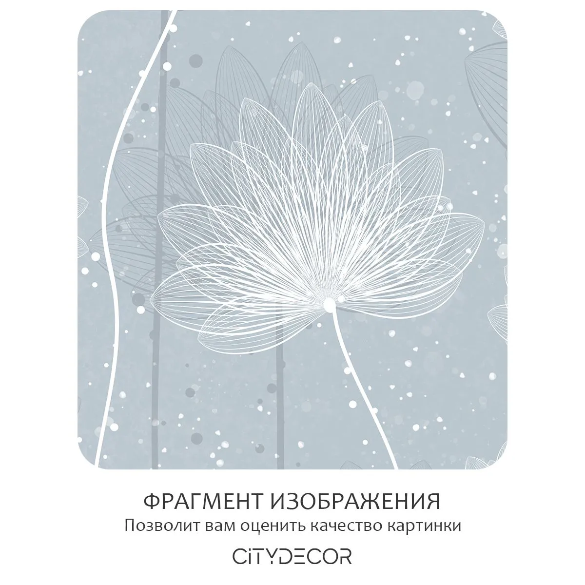 Бесшовное панно Citydecor Невесомость 42 на флизелиновой основе 300x270 см