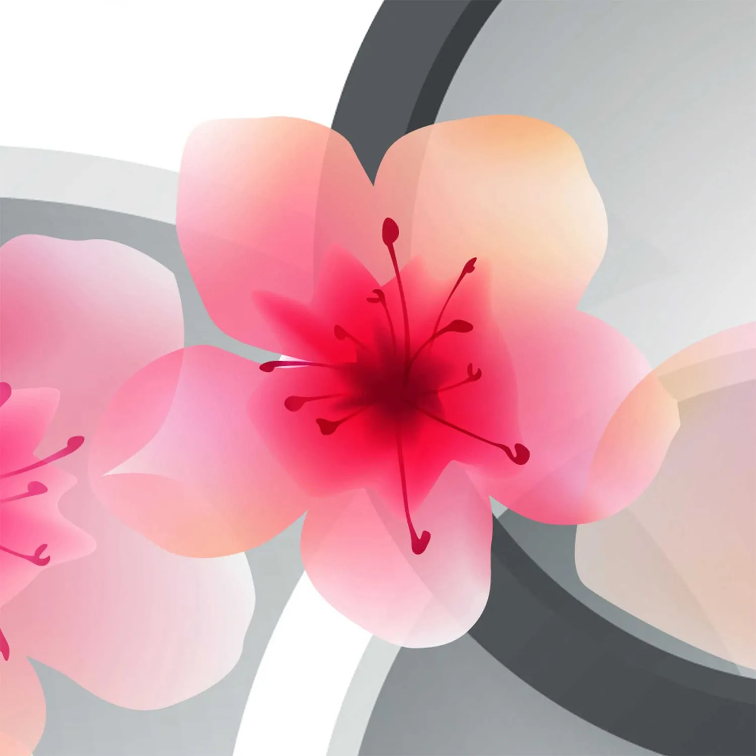 Фотообои рулонные Citydecor Абстракция с кругами 3 на флизелиновой основе 400x254 см