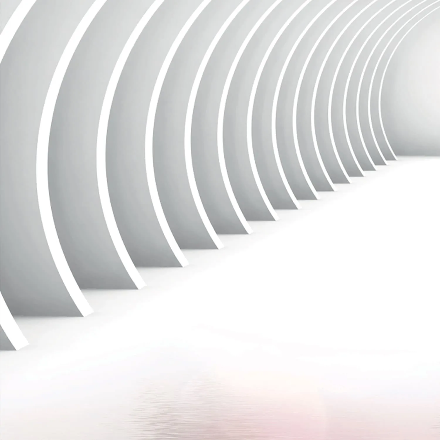 Фотообои рулонные Citydecor Цветочный декор 2 3D на флизелиновой основе 400x254 см