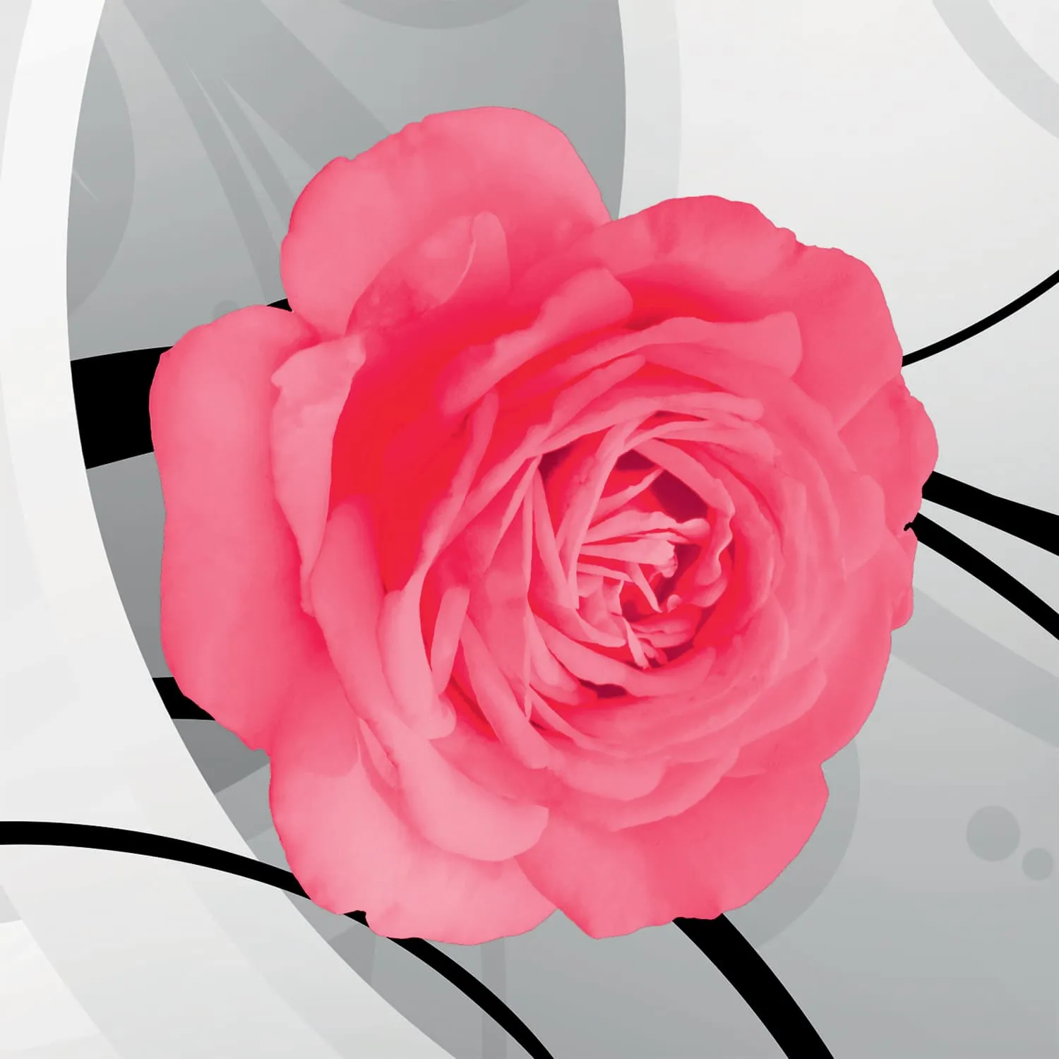 Фотообои рулонные Citydecor Цветочный декор 3D на флизелиновой основе 400x254 см