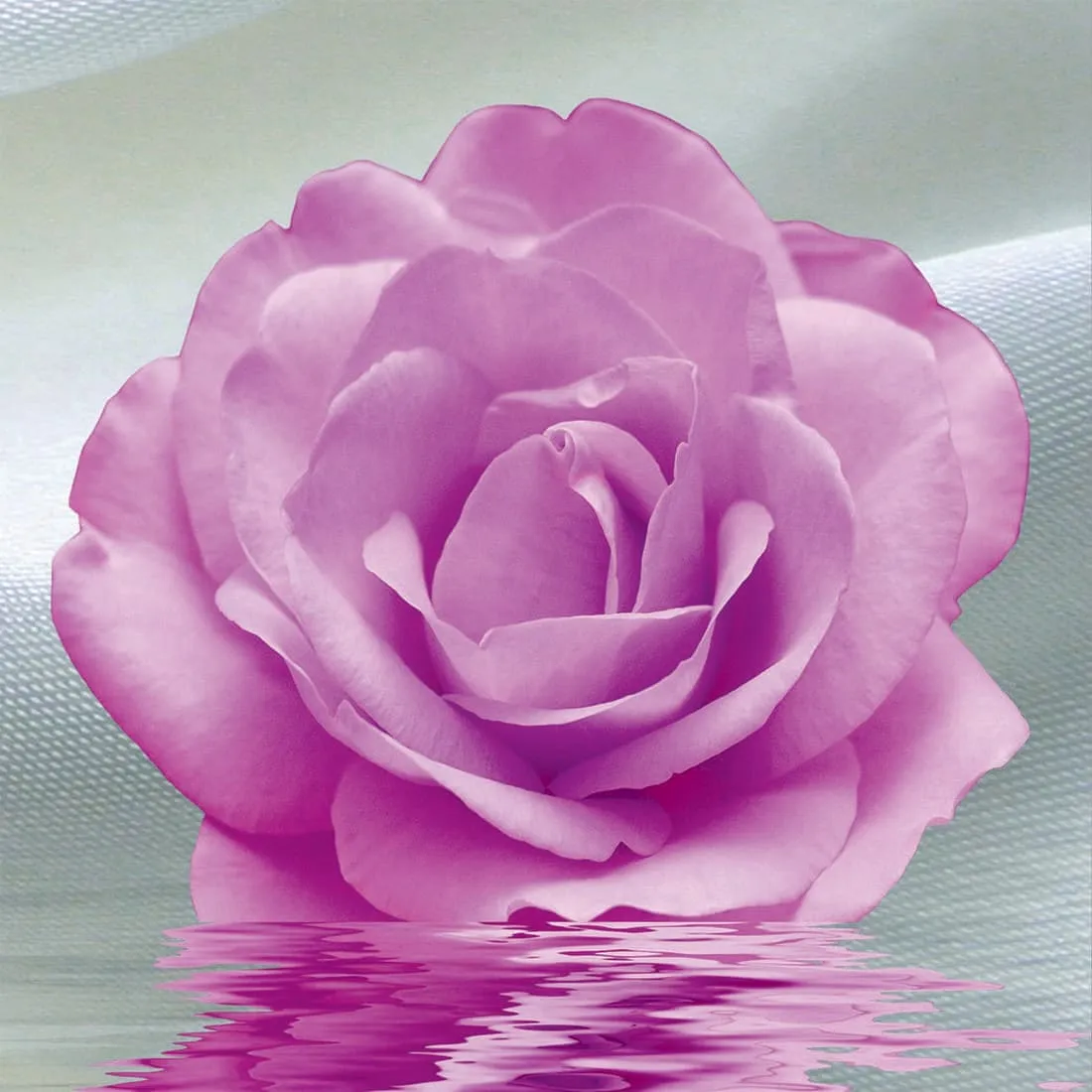 Фотообои рулонные Citydecor Цветочный декор 5 3D на флизелиновой основе 400x254 см