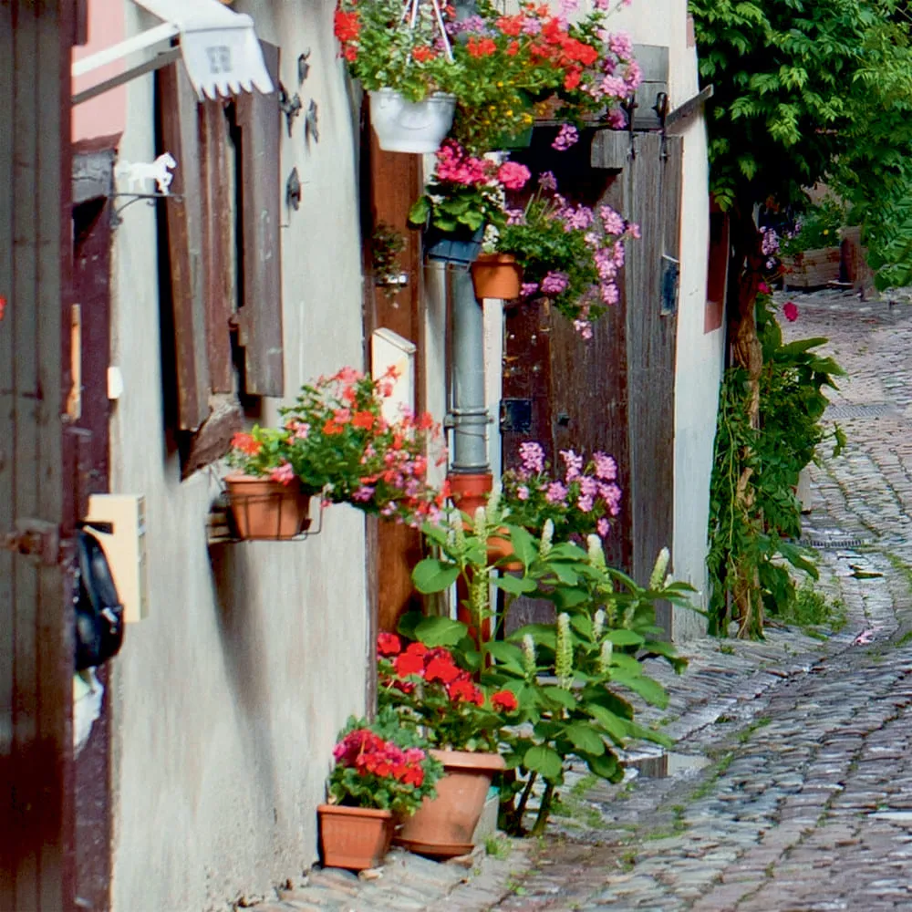 Фотообои рулонные Citydecor Эльзас на флизелиновой основе 400x254 см