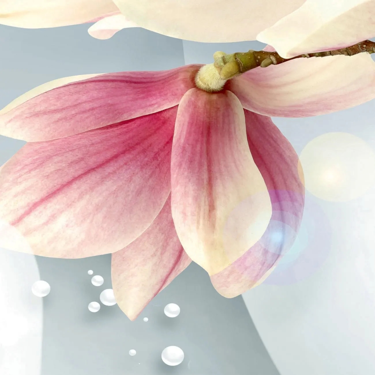 Фотообои рулонные Citydecor Магнолия 3D на флизелиновой основе 400x254 см