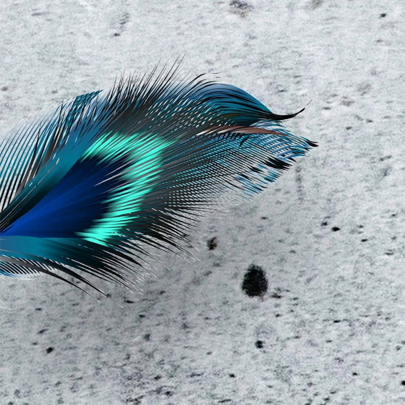 Фотообои рулонные Citydecor Перышки 2 на флизелиновой основе 400x254 см