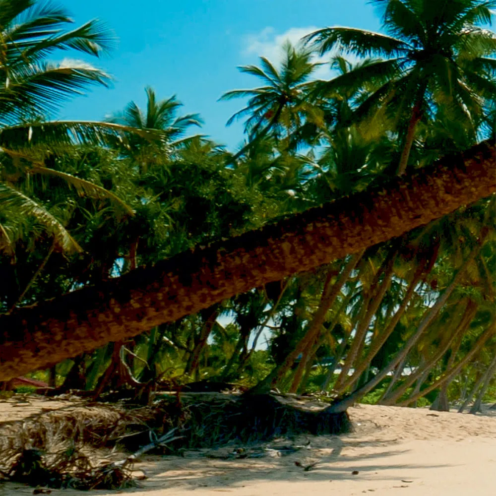 Фотообои рулонные Citydecor Пляж на флизелиновой основе 400x254 см