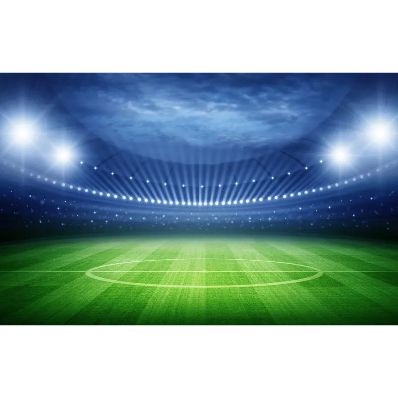 Фотообои рулонные Citydecor Стадион на флизелиновой основе 400x254 см