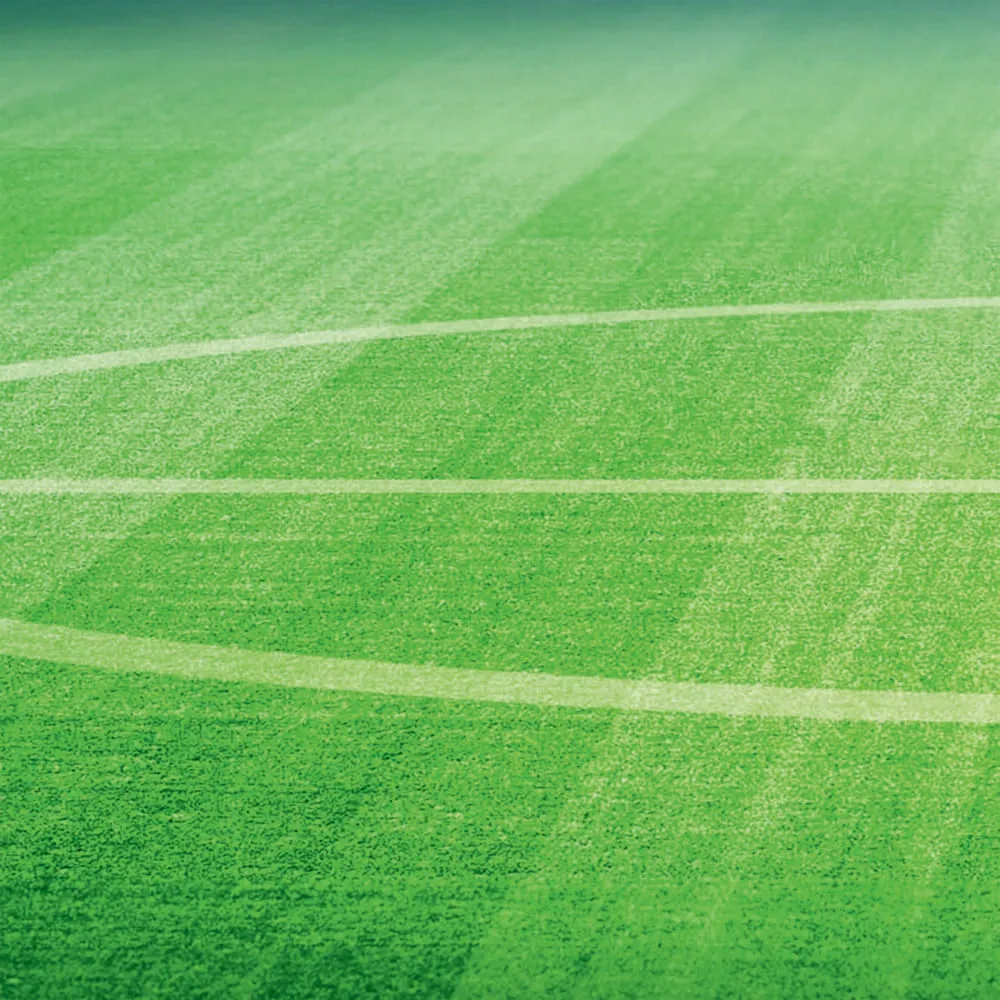 Фотообои рулонные Citydecor Стадион на флизелиновой основе 400x254 см