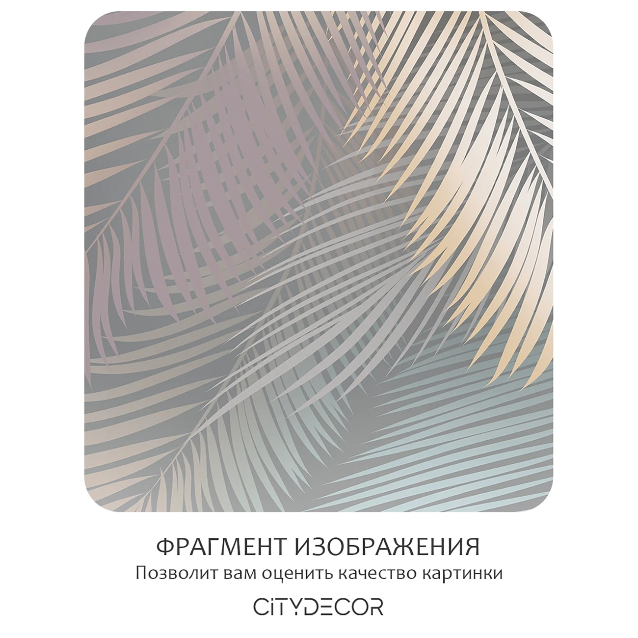 Фотообои рулонные Citydecor Пальмовые листья 78 на флизелиновой основе 400x260 см