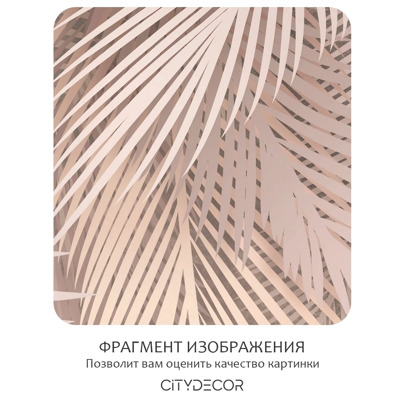 Фотообои рулонные Citydecor Пальмовые листья 82 на флизелиновой основе 400x260 см