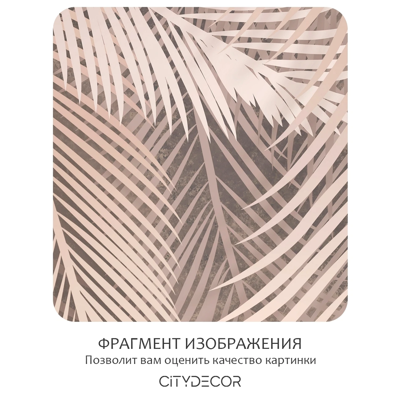 Фотообои рулонные Citydecor Пальмовые листья 82 на флизелиновой основе 400x260 см