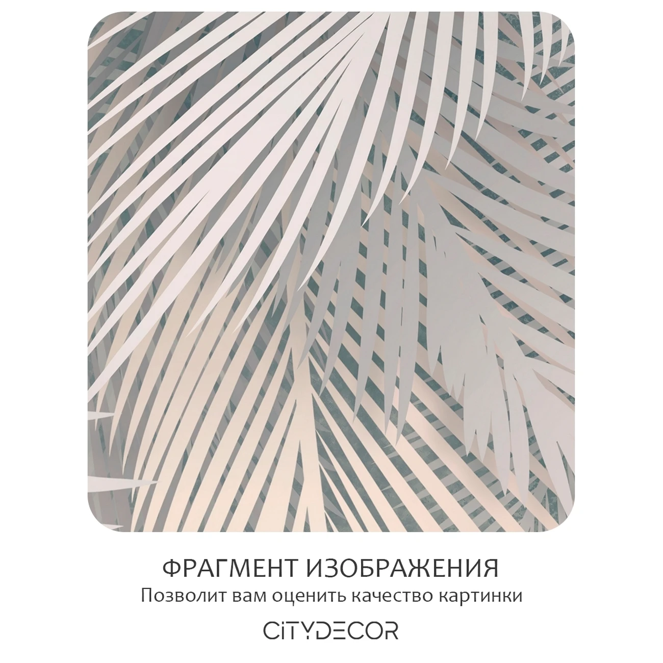 Фотообои рулонные Citydecor Пальмовые листья 83 на флизелиновой основе 400x260 см