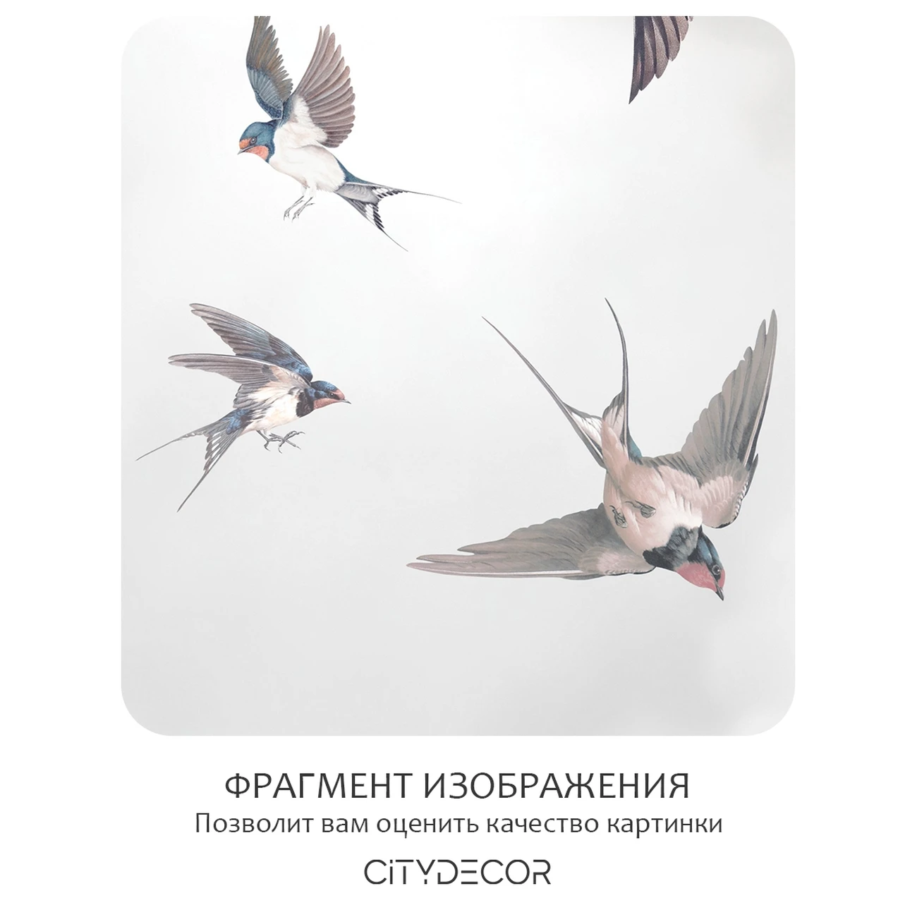 Фотообои рулонные Citydecor Air 10 на флизелиновой основе 400x260 см