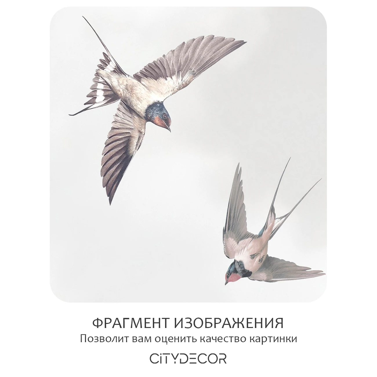 Фотообои рулонные Citydecor Air 10 на флизелиновой основе 400x260 см