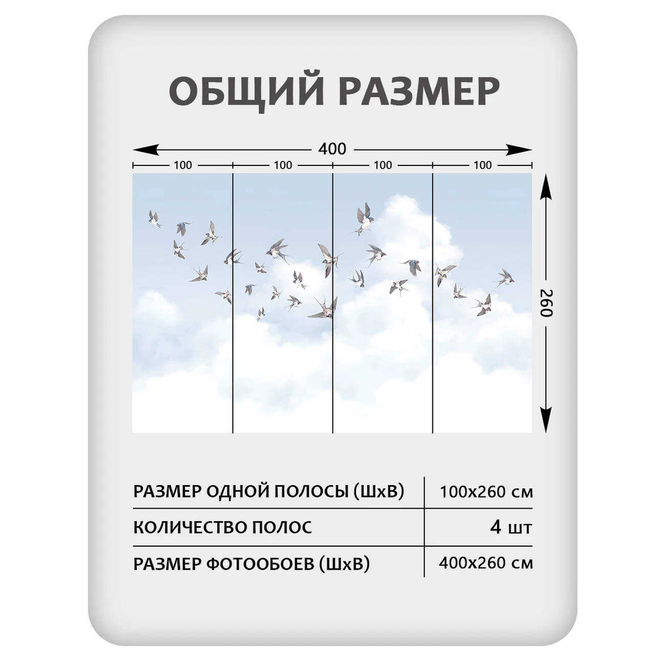 Фотообои рулонные Citydecor Air 11 на флизелиновой основе 400x260 см