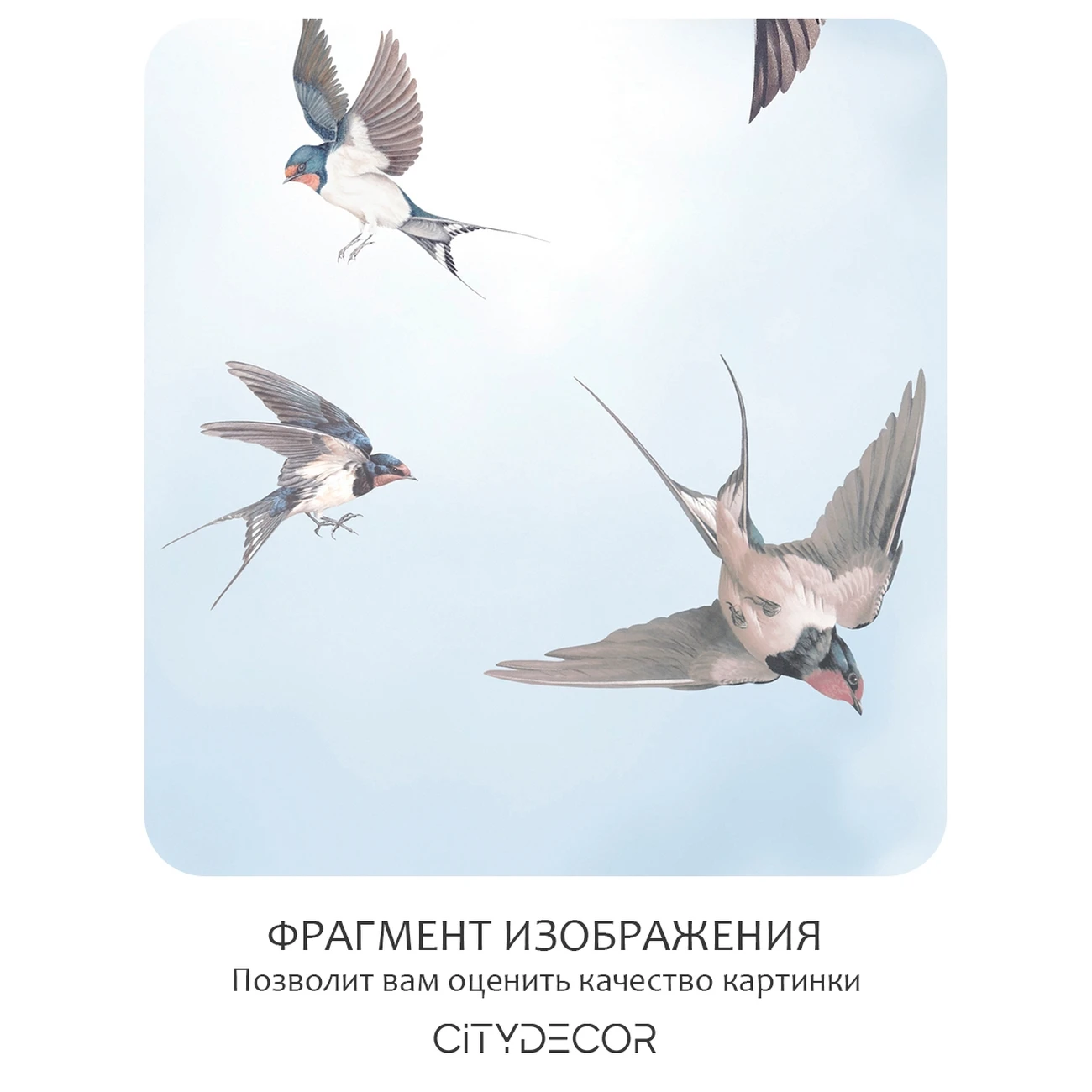 Фотообои рулонные Citydecor Air 11 на флизелиновой основе 400x260 см