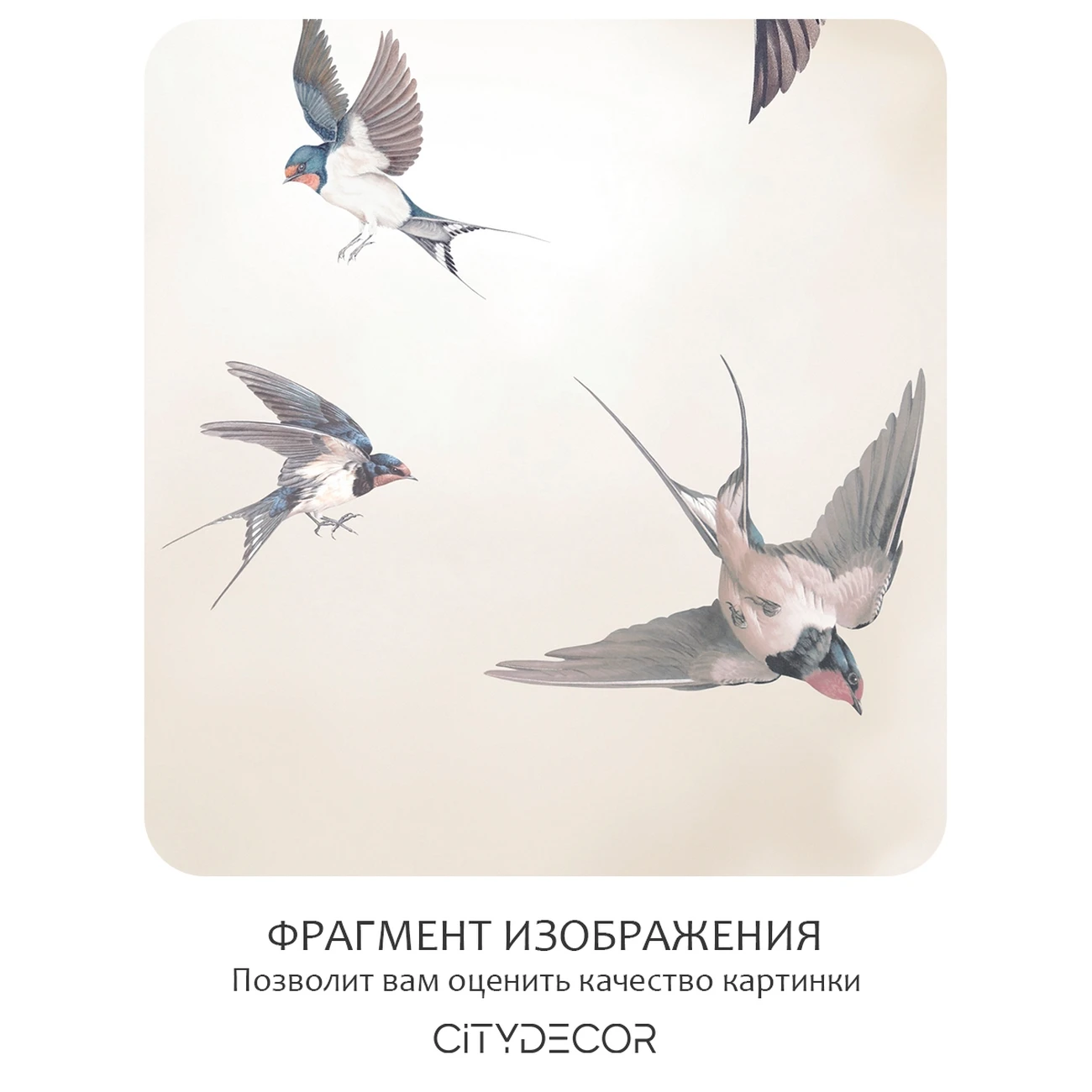 Фотообои рулонные Citydecor Air 14 на флизелиновой основе 400x260 см