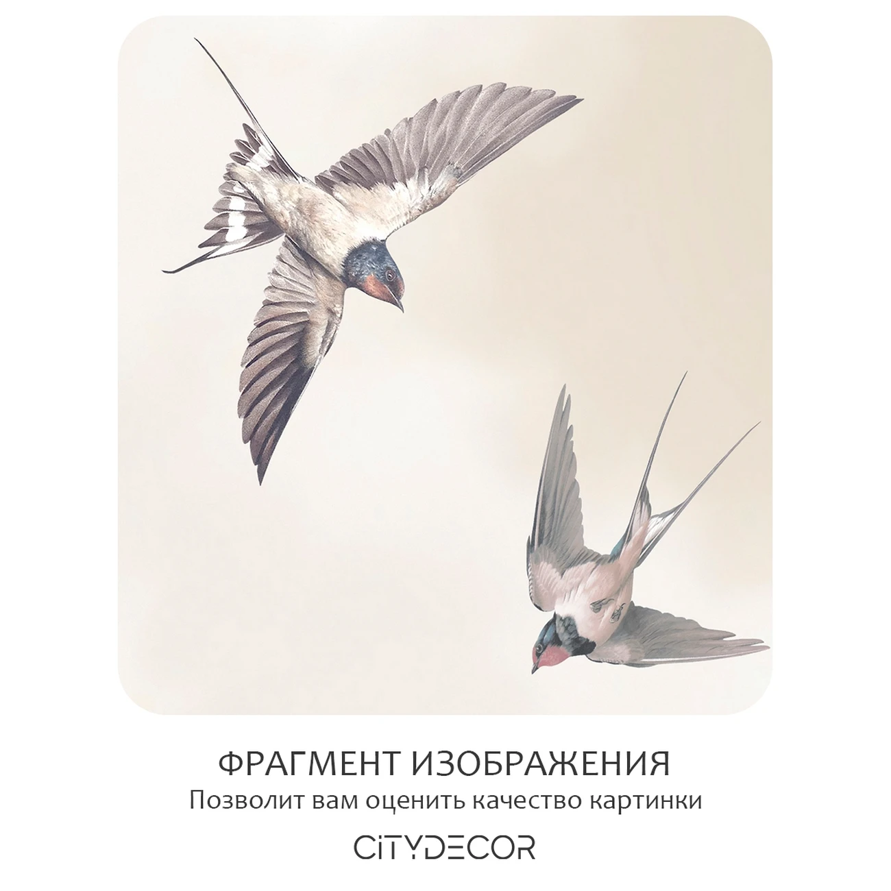 Фотообои рулонные Citydecor Air 14 на флизелиновой основе 400x260 см