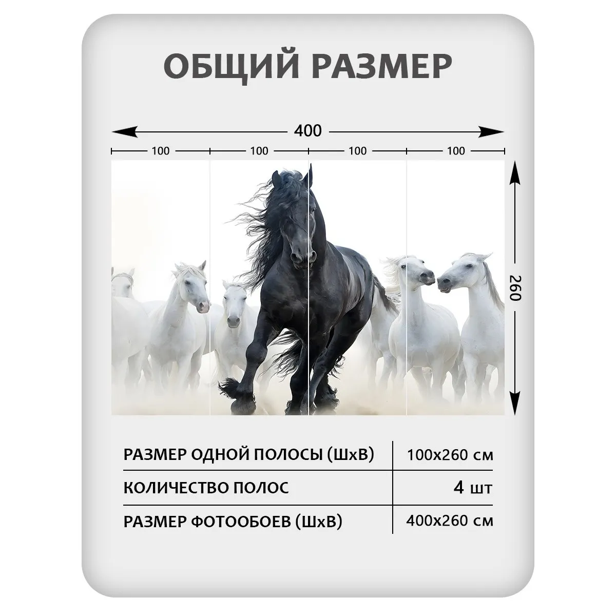 Фотообои рулонные Citydecor Животные и Птицы 54 на флизелиновой основе 400x260 см