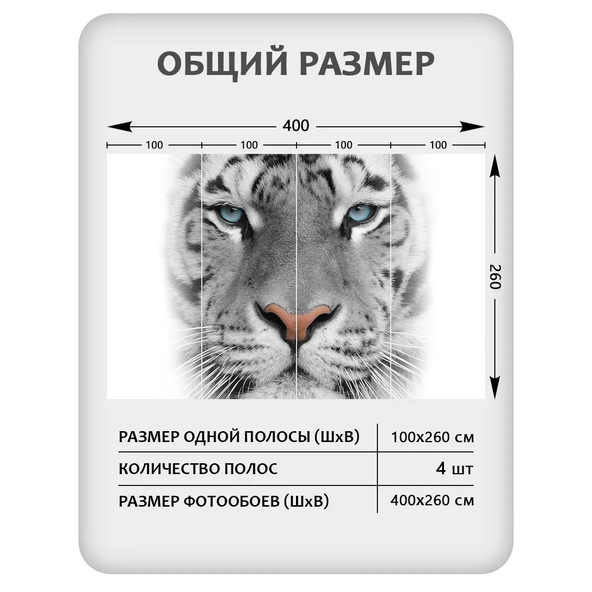 Фотообои рулонные Citydecor Животные и Птицы 55 на флизелиновой основе 400x260 см