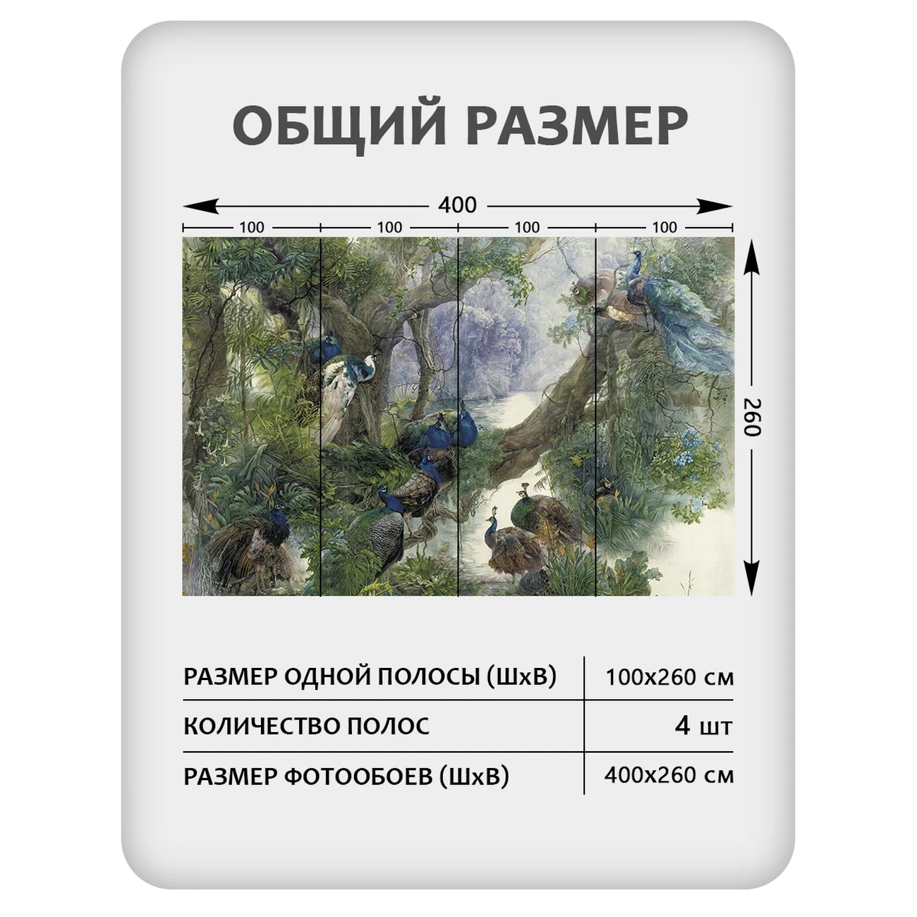 Фотообои рулонные Citydecor Животные и Птицы 57 на флизелиновой основе 400x260 см