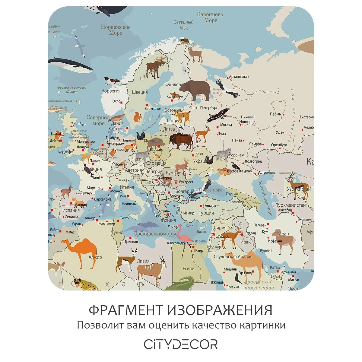 Бесшовное панно Citydecor Детская (карта мира) 61 на флизелиновой основе 400x270 см