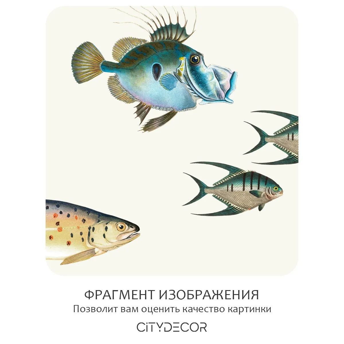 Фотообои рулонные Citydecor Dreamy 3 на флизелиновой основе 400x260 см