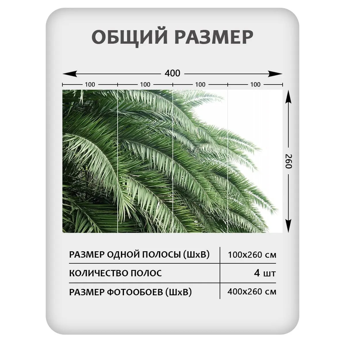 Фотообои рулонные Citydecor Цветы и Растения 203 на флизелиновой основе 400x260 см