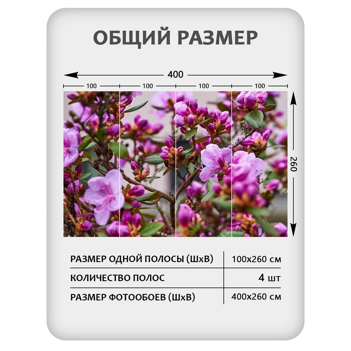 Фотообои рулонные Citydecor Цветы и Растения 204 на флизелиновой основе 400x260 см