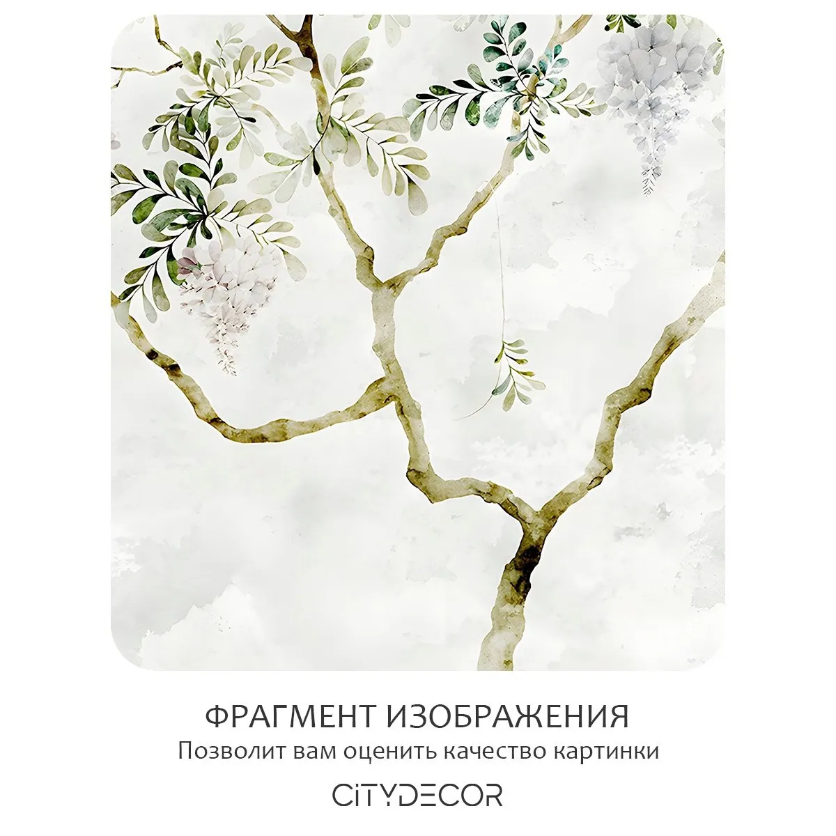 Фотообои рулонные Citydecor Цветы и Растения 205 на флизелиновой основе 400x260 см