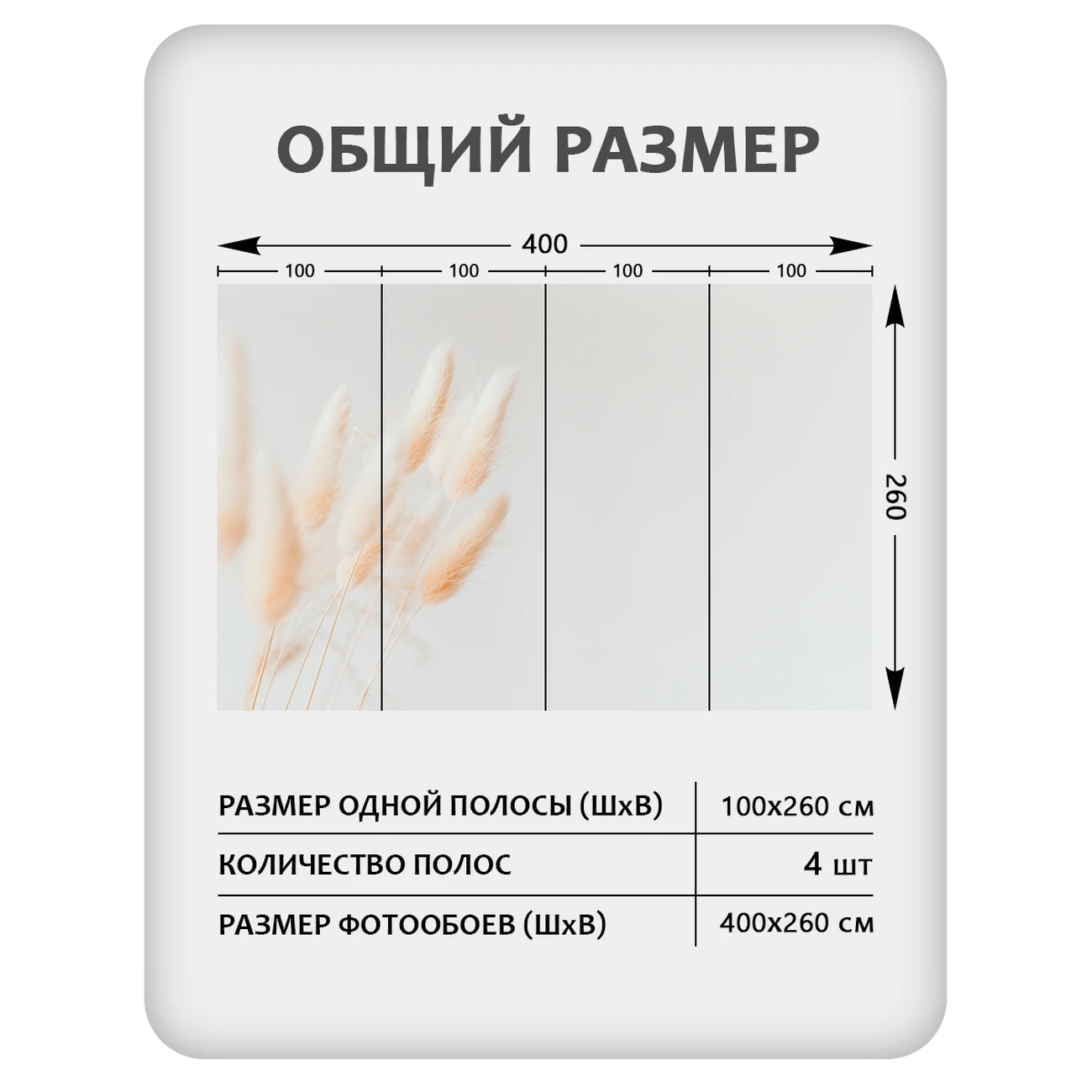 Фотообои рулонные Citydecor Цветы и Растения 235 на флизелиновой основе 400x260 см