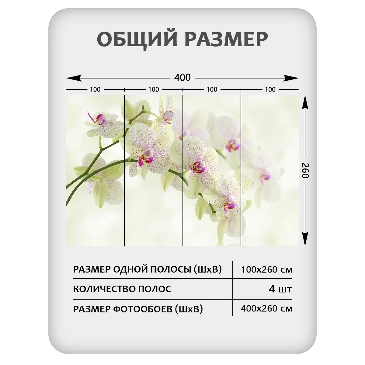 Фотообои рулонные Citydecor Цветы и Растения 34 на флизелиновой основе 400x260 см