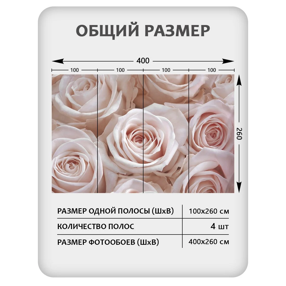 Фотообои рулонные Citydecor Цветы и Растения 36 на флизелиновой основе 400x260 см