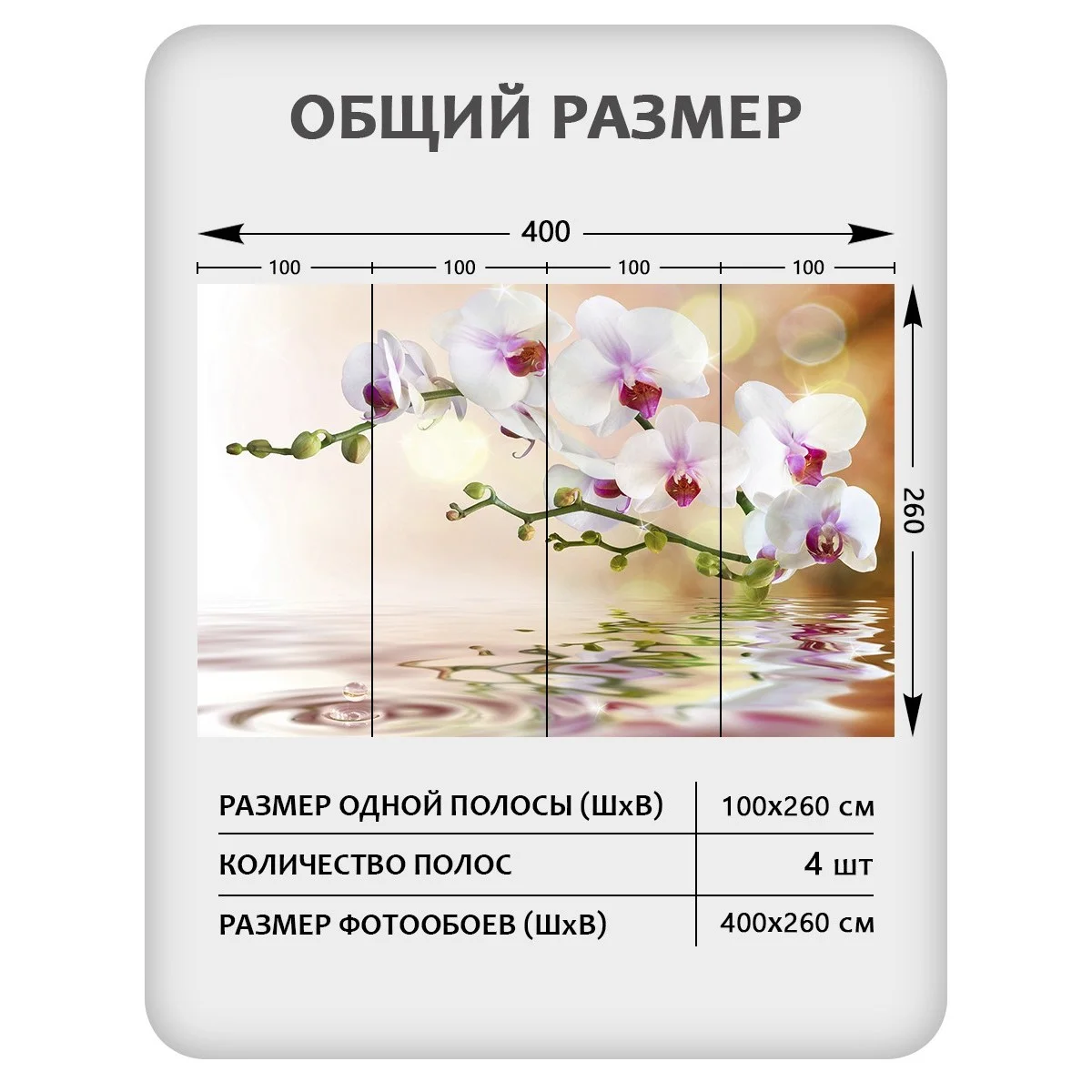 Фотообои рулонные Citydecor Цветы и Растения 38 на флизелиновой основе 400x260 см