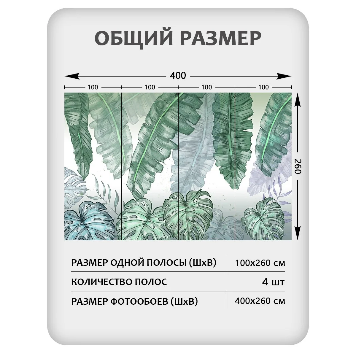 Фотообои рулонные Citydecor Цветы и Растения 41 на флизелиновой основе 400x260 см