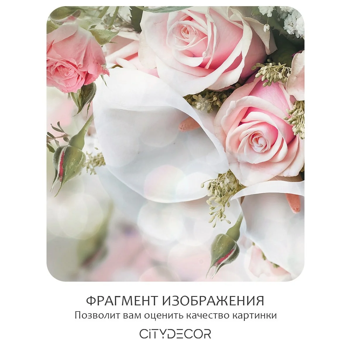 Фотообои рулонные Citydecor Цветы и Растения 48 на флизелиновой основе 400x260 см