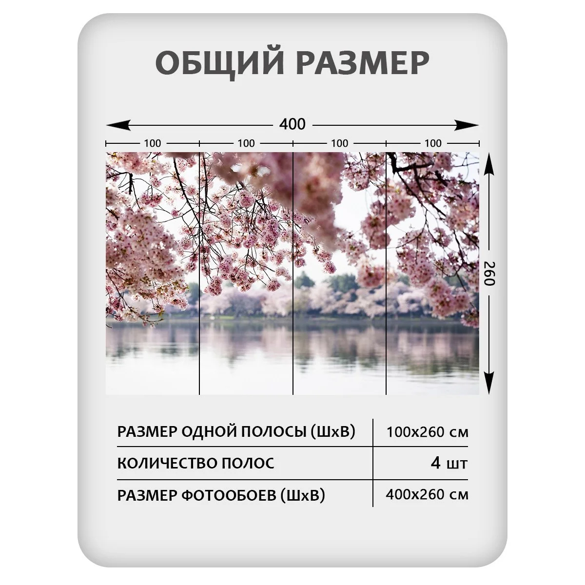 Фотообои рулонные Citydecor Цветы и Растения 49 на флизелиновой основе 400x260 см