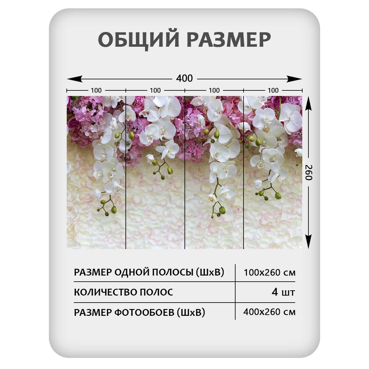 Фотообои рулонные Citydecor Цветы и Растения 50 на флизелиновой основе 400x260 см