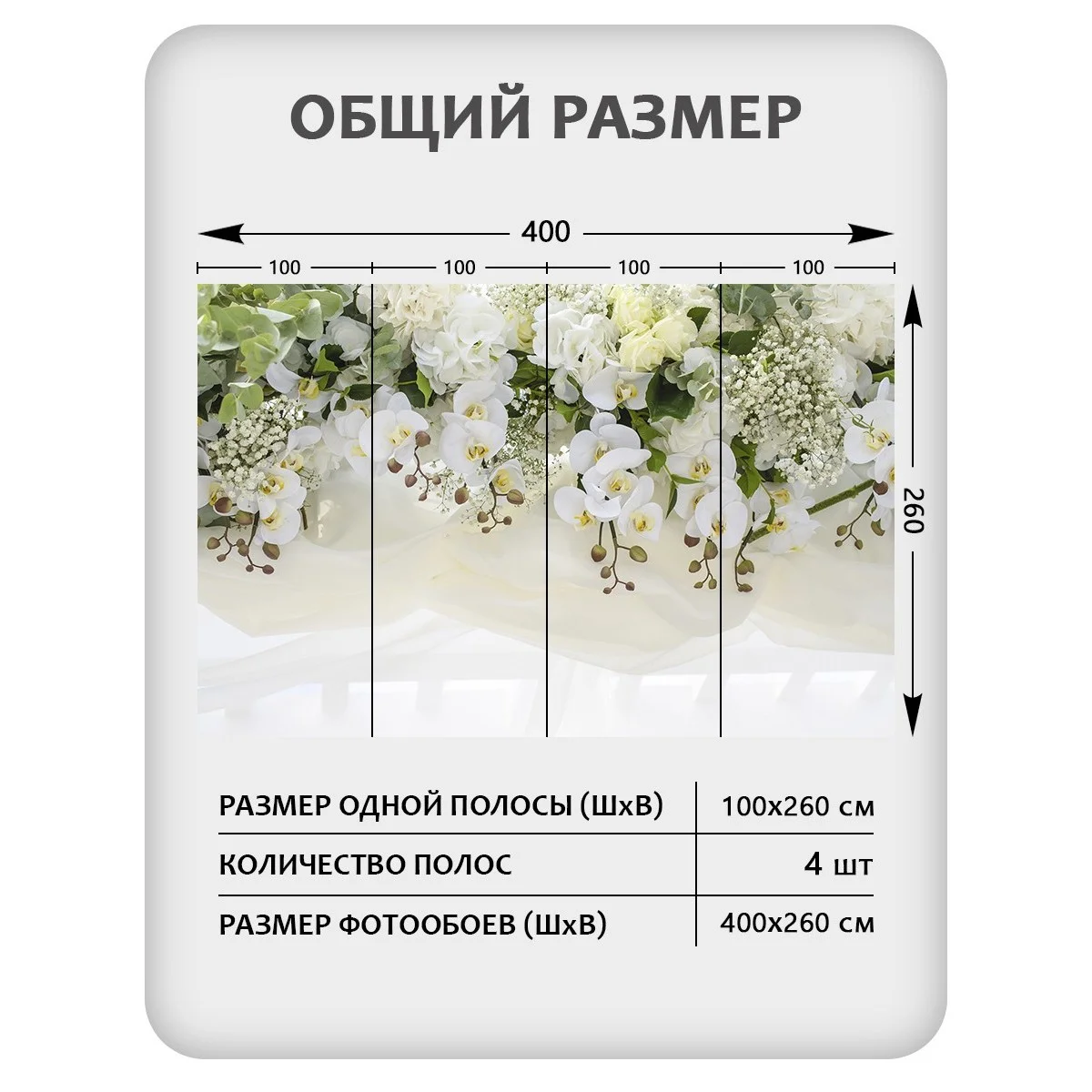 Фотообои рулонные Citydecor Цветы и Растения 52 на флизелиновой основе 400x260 см