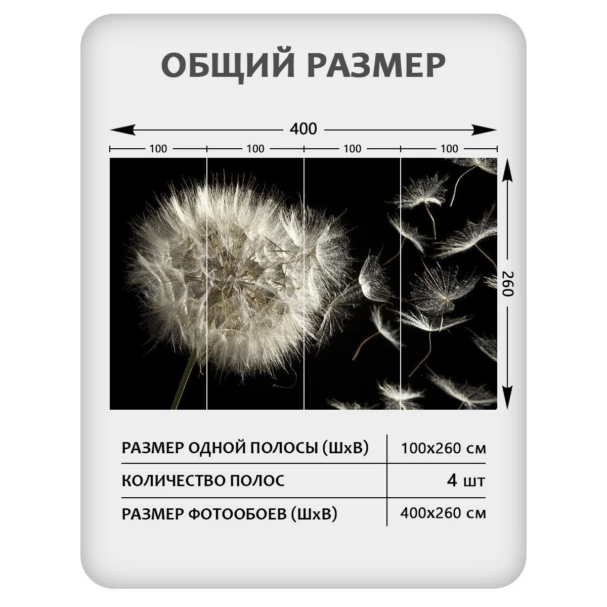 Фотообои рулонные Citydecor Цветы и Растения 58 на флизелиновой основе 400x260 см