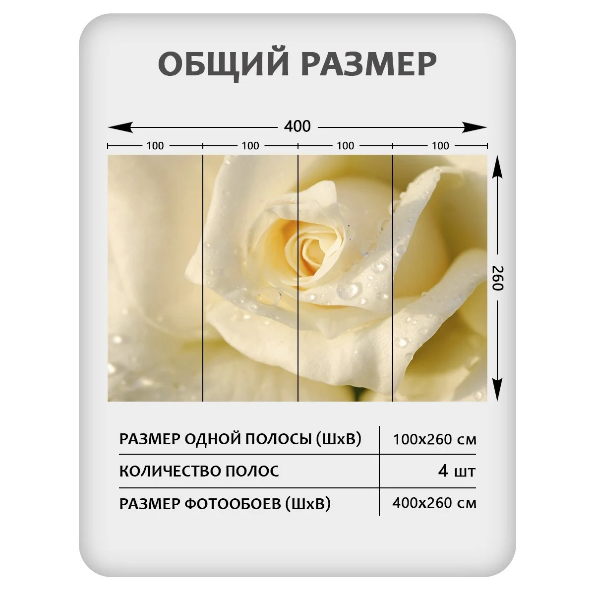 Фотообои рулонные Citydecor Цветы и Растения 65 на флизелиновой основе 400x260 см