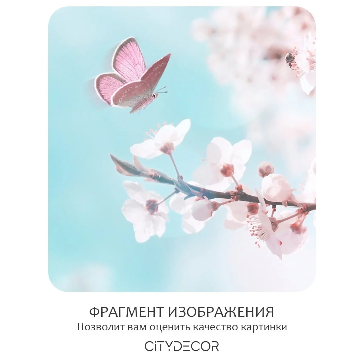 Фотообои рулонные Citydecor Цветы и Растения 67 на флизелиновой основе 400x260 см
