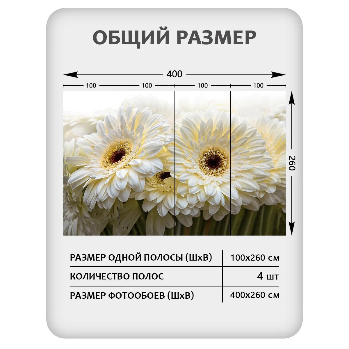 Фотообои рулонные Citydecor Цветы и Растения 68 на флизелиновой основе 400x260 см