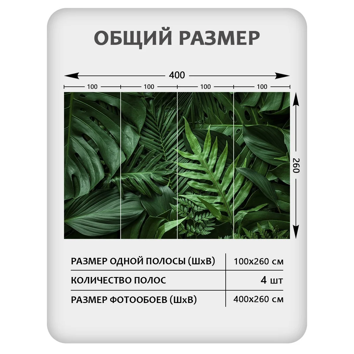 Фотообои рулонные Citydecor Цветы и Растения 73 на флизелиновой основе 400x260 см